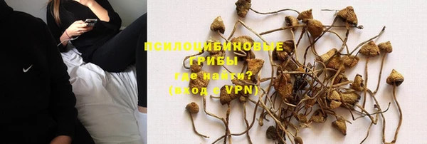 альфа пвп Армянск