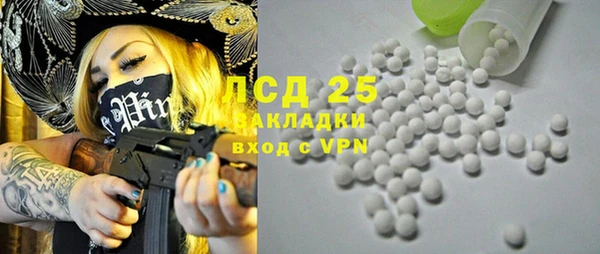 хмурый Аркадак