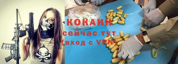 хмурый Аркадак