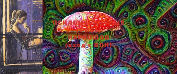 хмурый Аркадак