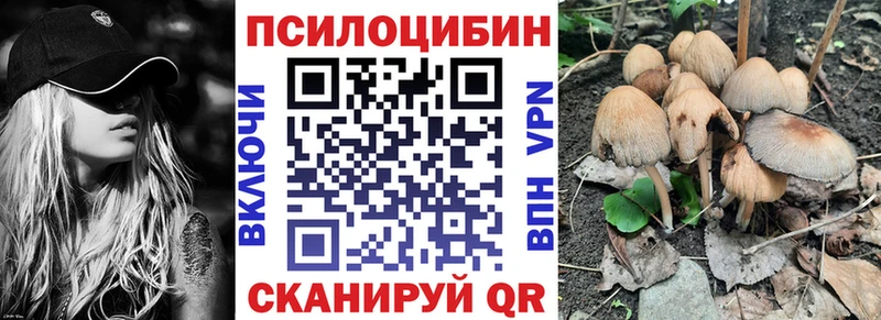 как найти   Советская Гавань  Псилоцибиновые грибы Magic Shrooms 